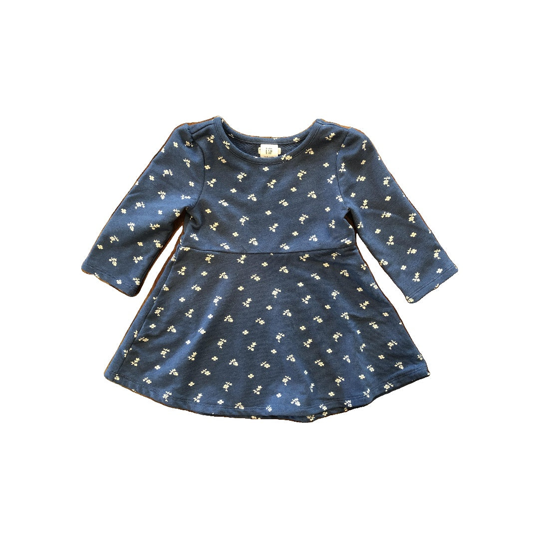 Gap Girls Blue | Flowers Dress Size: 12-18 months Blue | Flowers