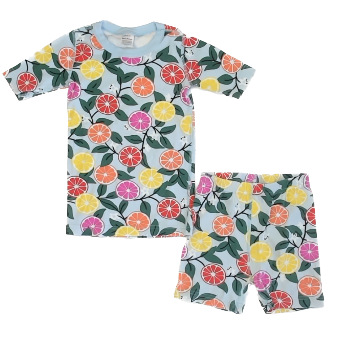 Hanna Andersson Girls Blue | Fruit 2-piece Pajamas Size: 8 Years Blue | Fruit