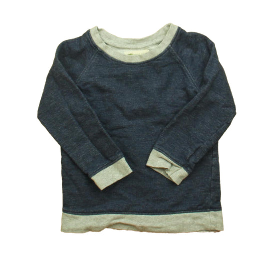 Monica + Andy Boys Blue | Gray Apparel Sets Size: 2T
