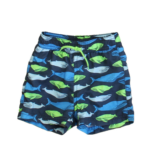 Janie and Jack Boys Blue | Green Sharks Trunks Size: 6-12 Months Blue | Green Sharks