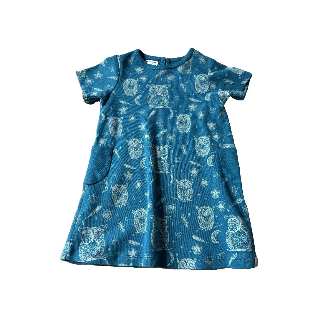 Little Lentil Girls Blue | Owls Dress Size: 18-24 months Blue | Owls