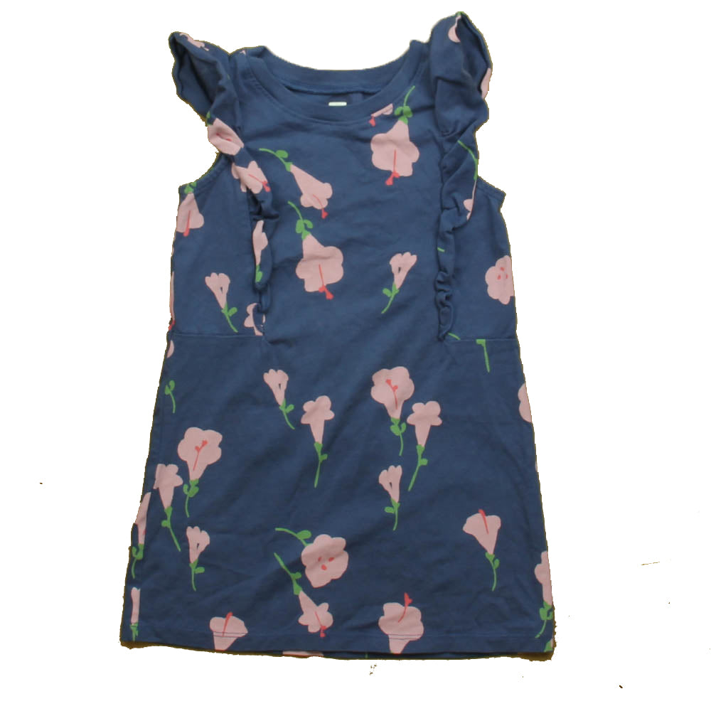 Tea Girls Blue | Pink Floral Dress Size: 3T