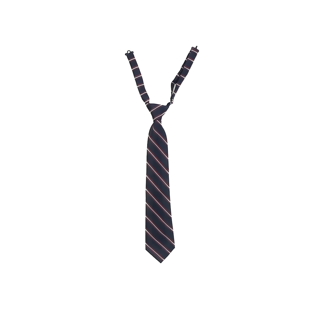 Unknown Boys Blue | Red Necktie Accessory Size: Youth 8-14 Years Blue | Red Necktie