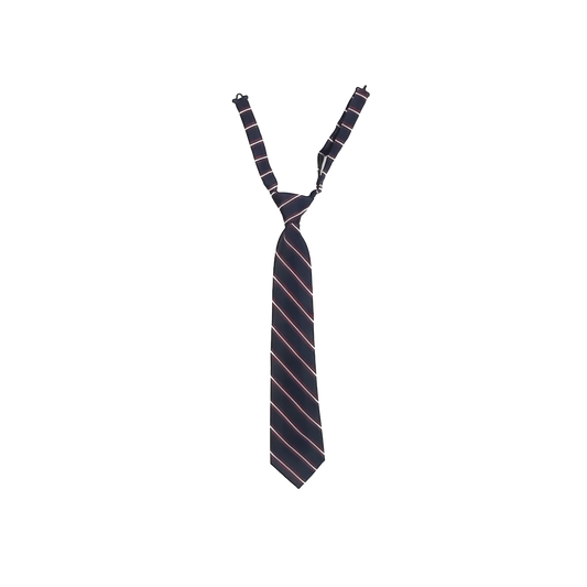 Unknown Boys Blue | Red Necktie Accessory Size: Youth 8-14 Years Blue | Red Necktie