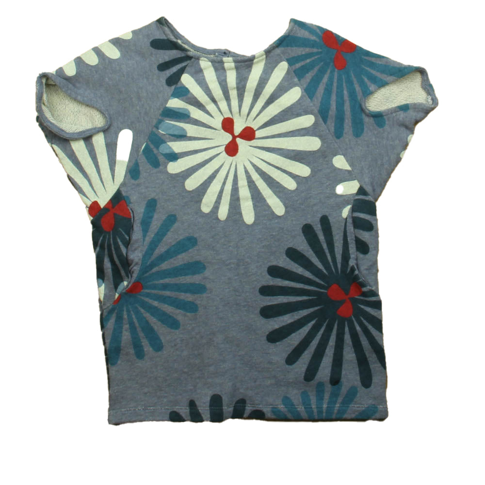 Tea Girls Blue | Red Dress Size: 2T Blue | Red