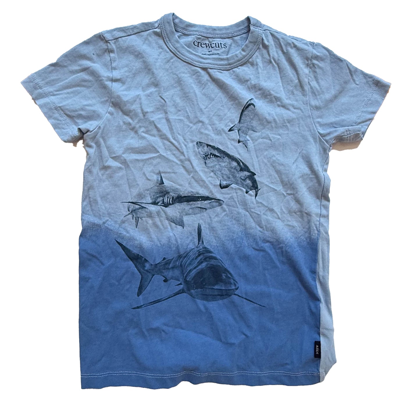 Crewcuts Boys Blue Sharks T-Shirt Size: 4-5T Blue Sharks