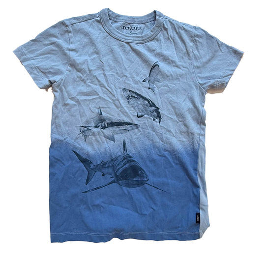 Crewcuts Boys Blue Sharks T-Shirt Size: 4-5T Blue Sharks