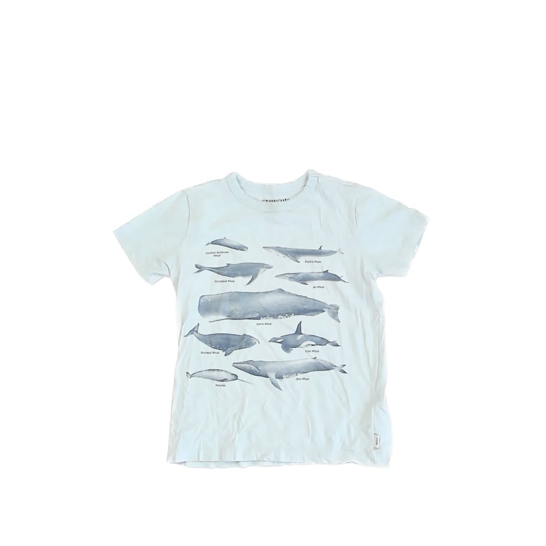 Crewcuts Boys Blue | Whale T-Shirt Size: S (6-7) Blue | Whale