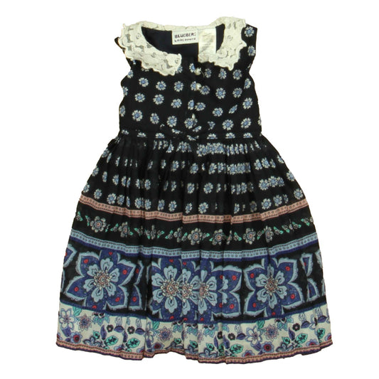 BlueBeri Boulevard Girls Blue | White Floral Dress Size: 2T Blue | White Floral