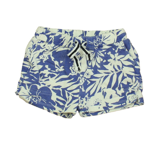 Crewcuts Girls Blue | White Floral Shorts Size: 2T