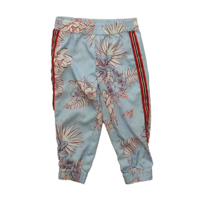 Janie and Jack Girls Blue | White | Red Floral Pants Size: 2T Blue | White | Red Floral