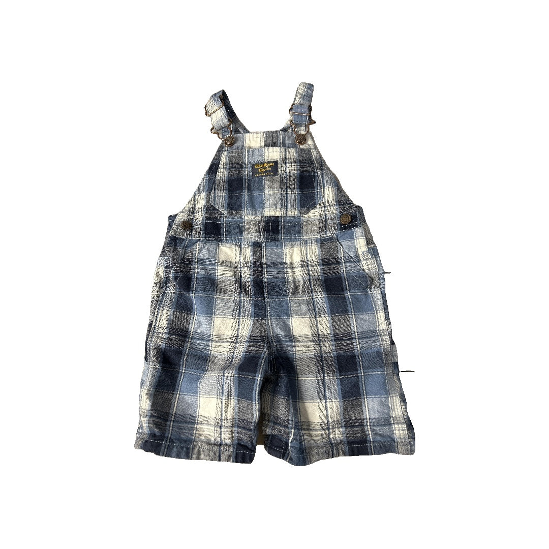 Unisex Blue | White Overalls Size: 18-24 months Blue | White