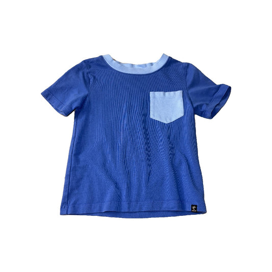 Lola & Taylor Boys Blue Shirt Size: 2T Blue