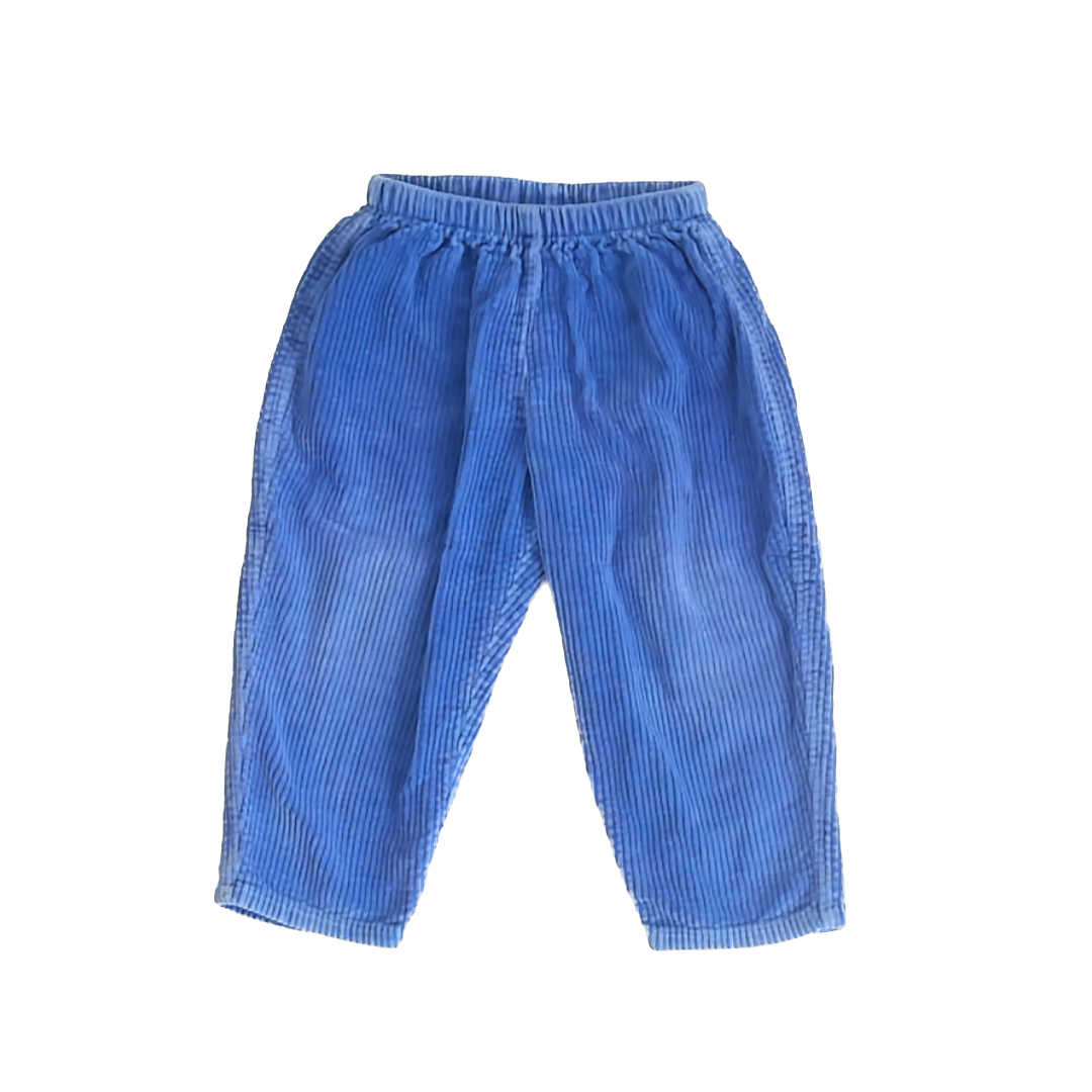 Mulberri Bush Boys Blue Corduroy Pants Size: 2T Blue