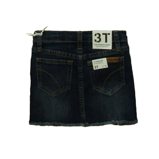Joe's Girls Blue Skirt Size: 3T Blue