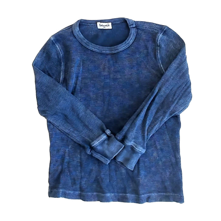 Splendid Boys Blue Long Sleeve Shirt Size: 3T Blue