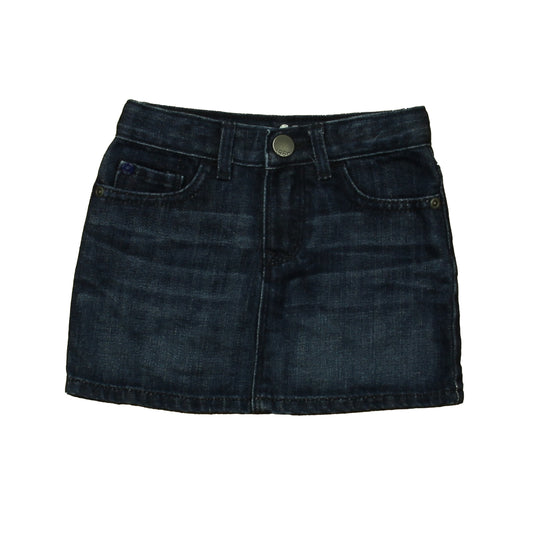 Gap Girls Blue Skirt Size: 2T Blue
