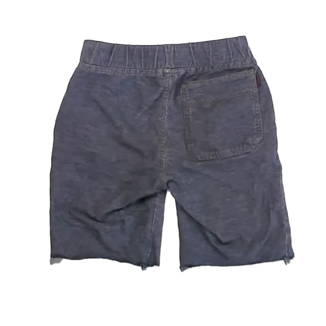 Tea Collection Boys Blue Shorts Size: 5T Blue