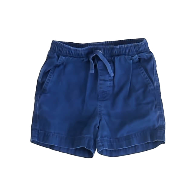 Tea Collection Boys Blue Shorts Size: 5T Blue