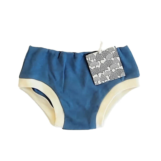 Kate Quinn Boys Blue Shorts Size: 0-3 Months Blue