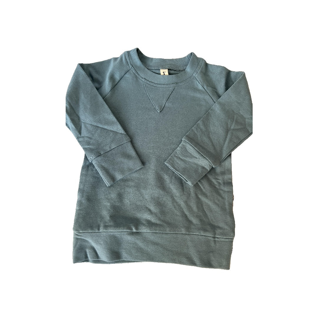 BabySprouts co Boys Blue Sweatshirt Size: 12-18 months Blue