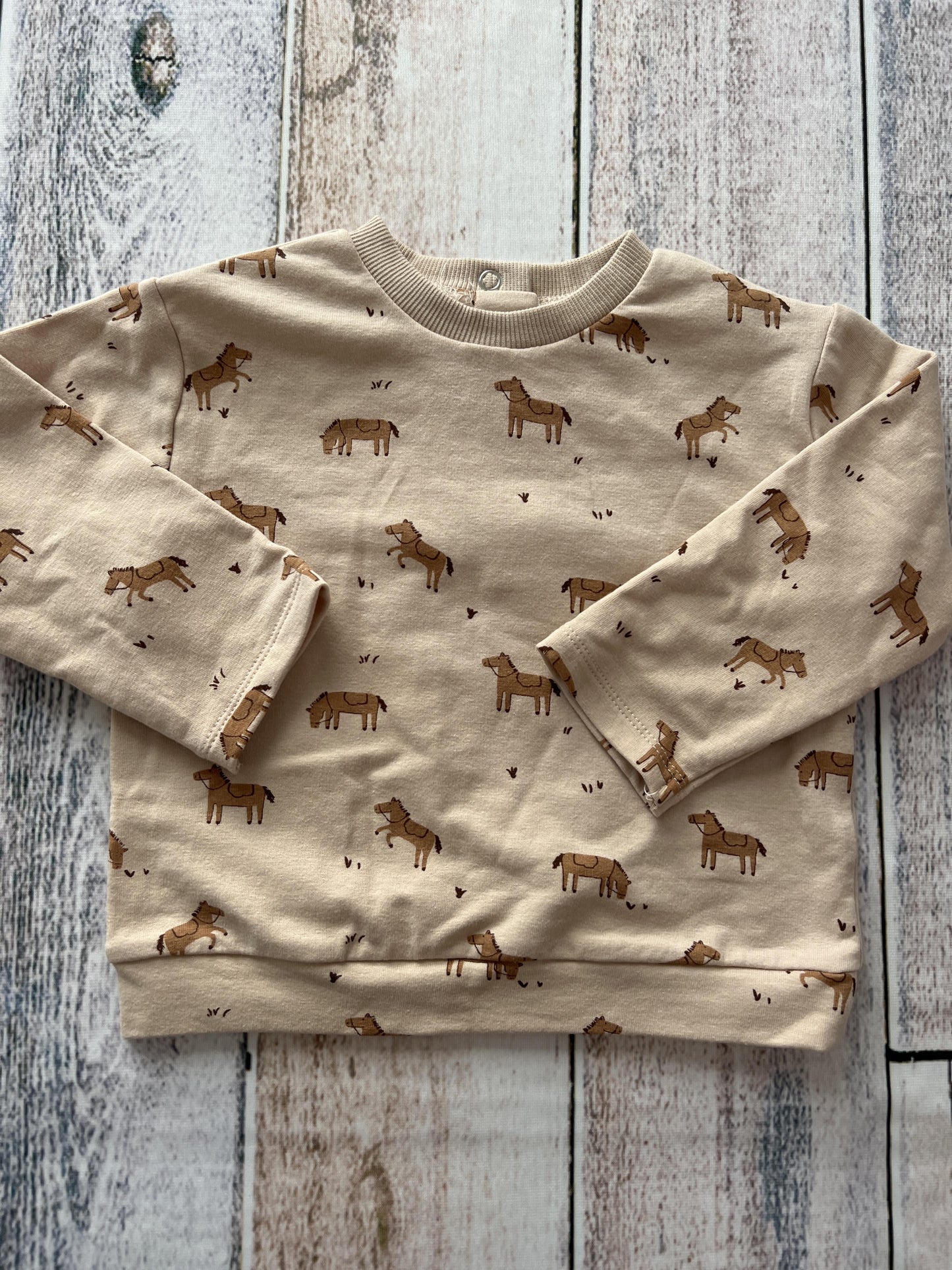 Focus Unisex Brown | Horses Sweatshirt Size: 18 months Brown | Horses