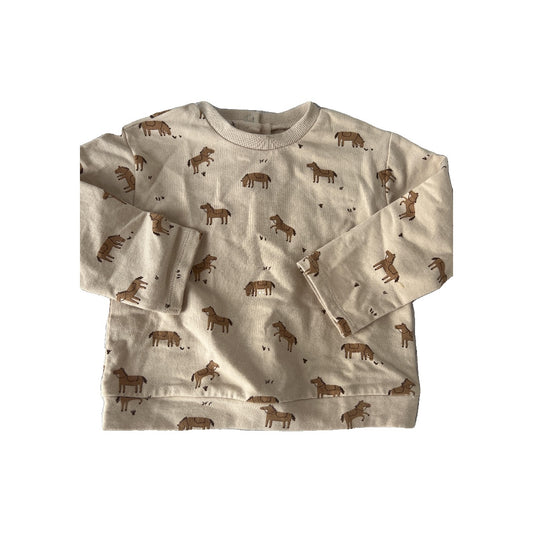 Focus Unisex Brown | Horses Sweatshirt Size: 24 months Brown | Horses