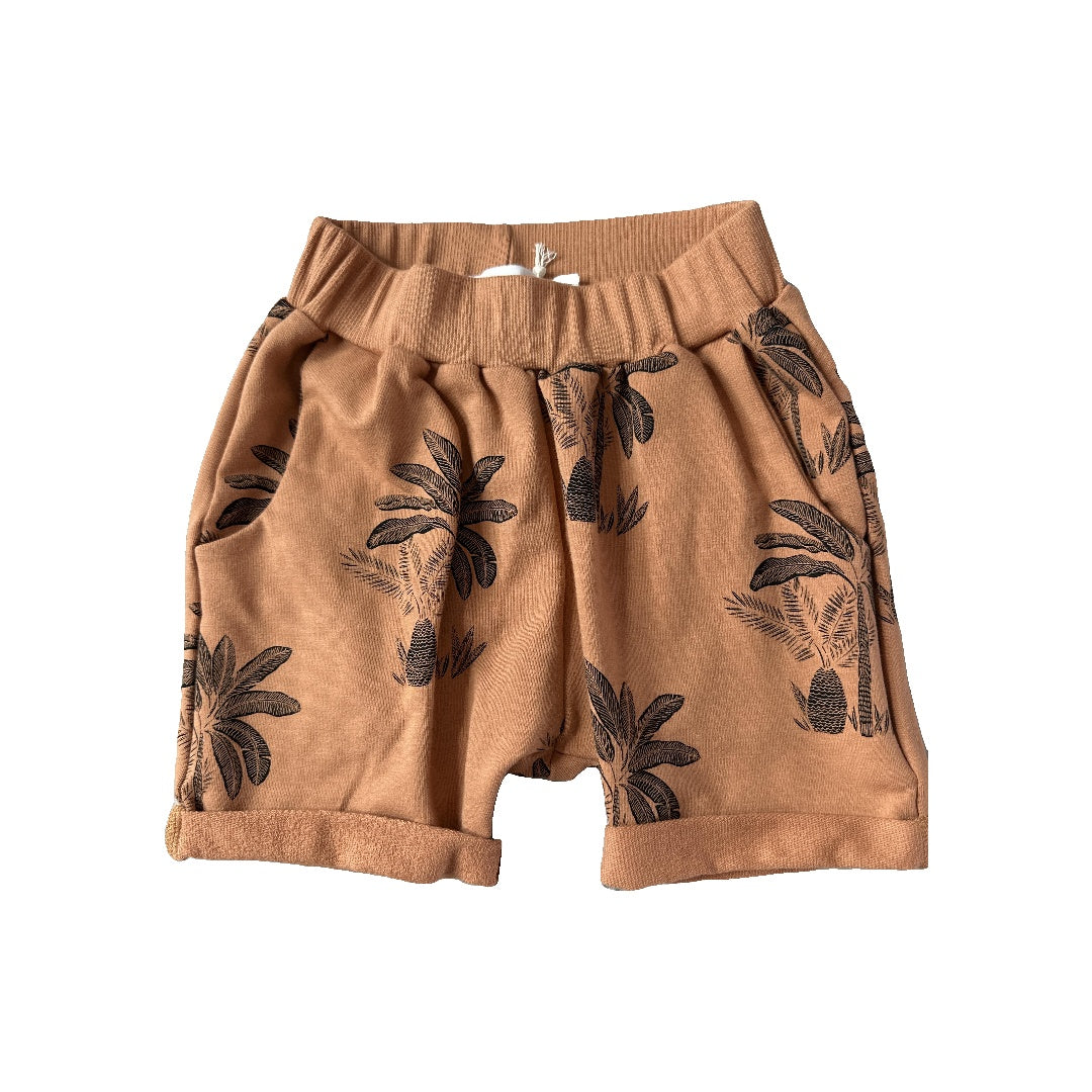 Dear Earth Unisex Brown Shorts Size: 4T Brown