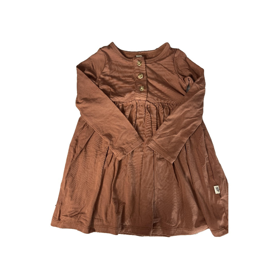BabySprouts co Girls Brown Dress Size: 3T Brown