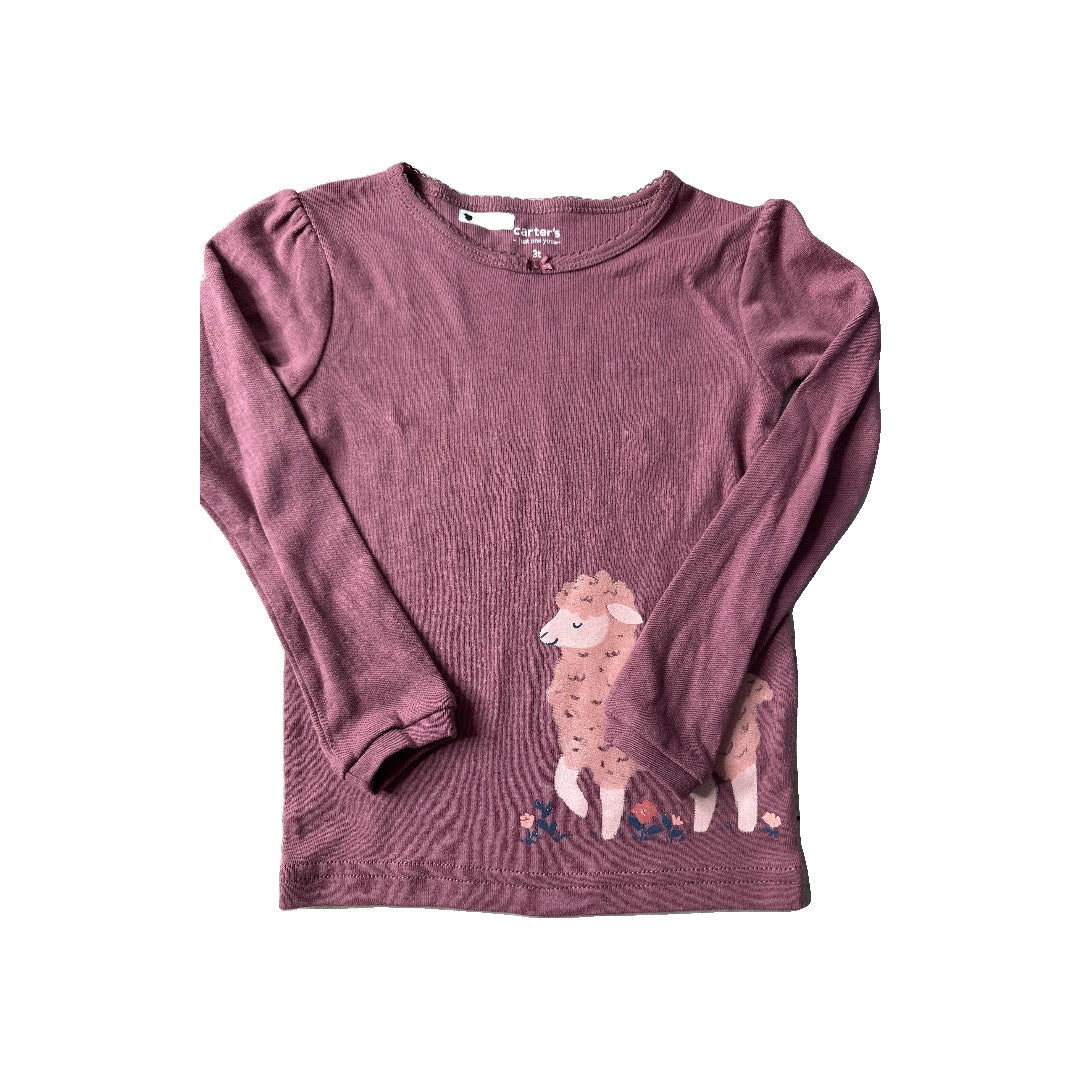 Carters Girls Burgundy Pajamas Size: 3T Burgundy