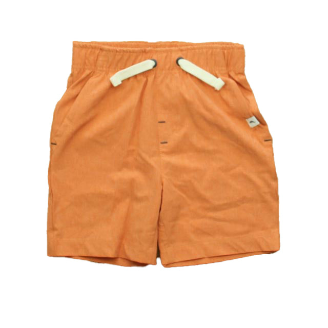 Tommy Bahama Boys Coral Shorts Size: 2T