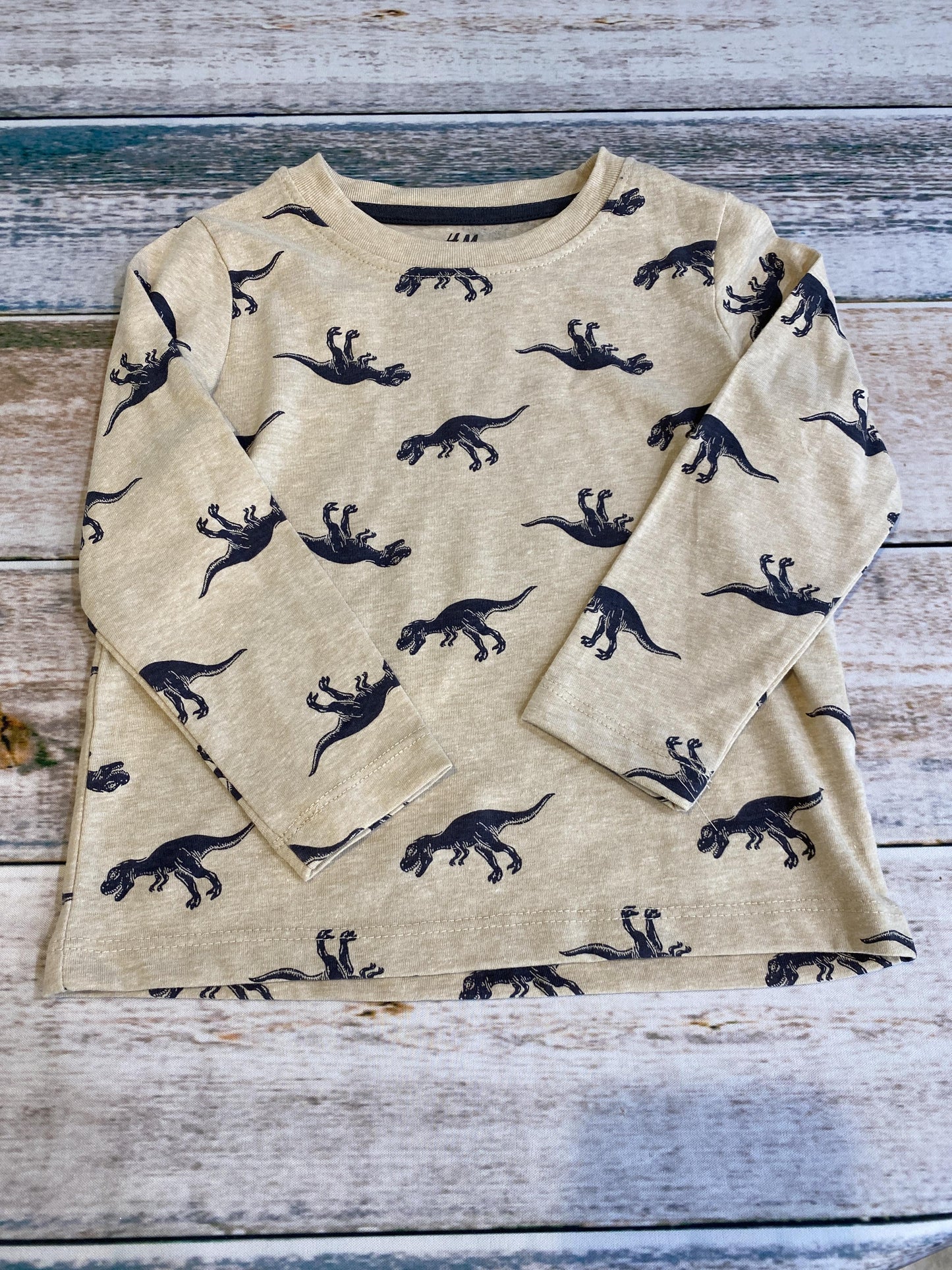 H&M Boys cream | Navy Blue | Dinosaur Long Sleeve T-Shirt Size: 2T cream | Navy Blue | Dinosaur