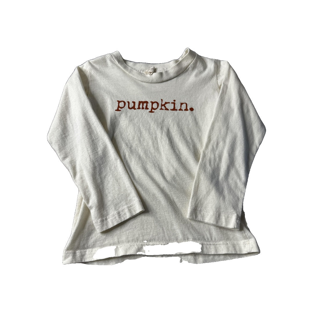 Tenth + Pine Unisex cream | Text Long Sleeve T-Shirt Size: 2-3 Years cream | Text