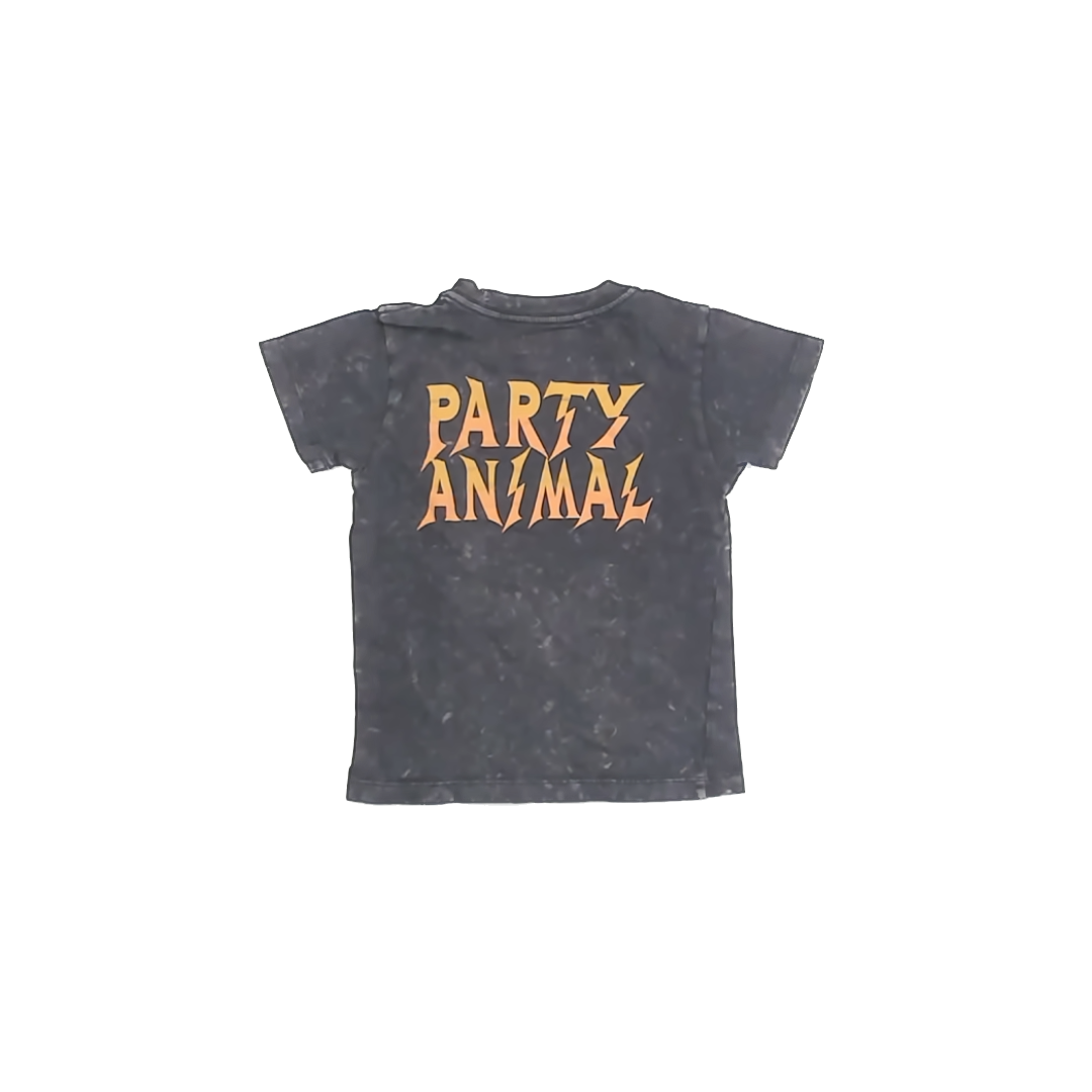 Tiny Whales Boys Dark Grey T-Shirt Size: 2T Dark Grey