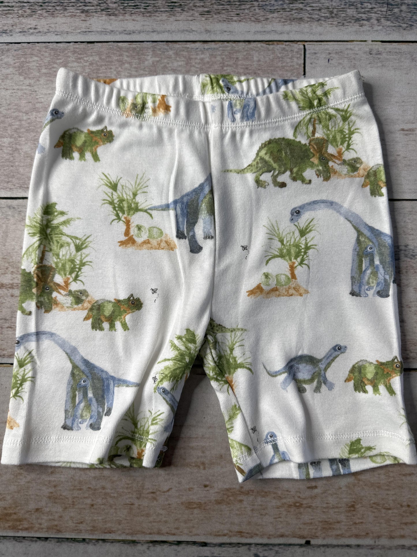 Burt's Bees Boys Dinosaur | White Pajamas Size: 3T Dinosaur | White