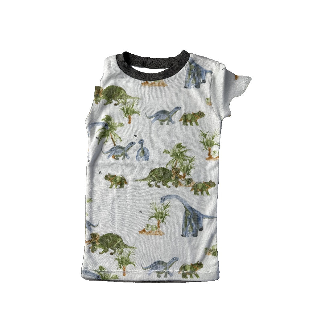 Burt's Bees Boys Dinosaur | White Pajamas Size: 3T Dinosaur | White
