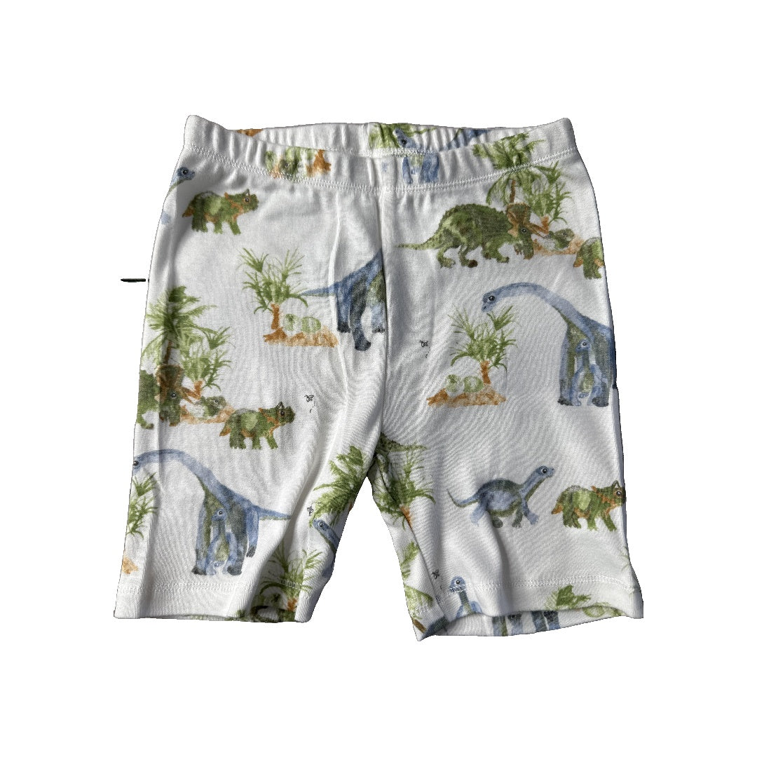 Burt's Bees Boys Dinosaur | White Pajamas Size: 3T Dinosaur | White