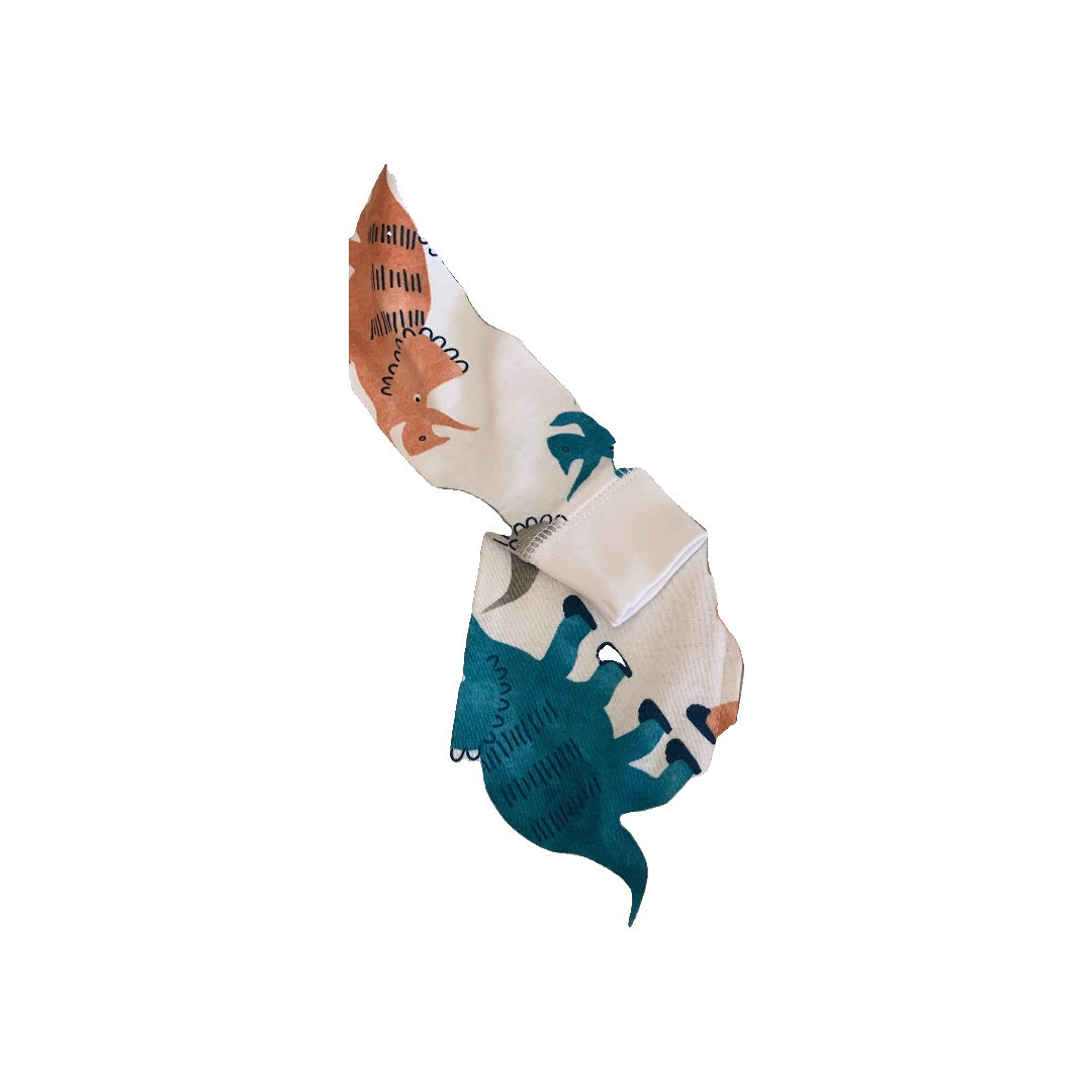 Carters Boys Dinosaur Pajamas Size: 18 months Dinosaur