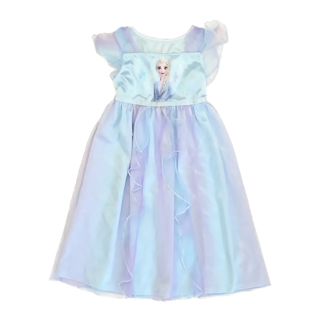 Frozen Girls Elsa Princess Costume Size: 2T Elsa Princess