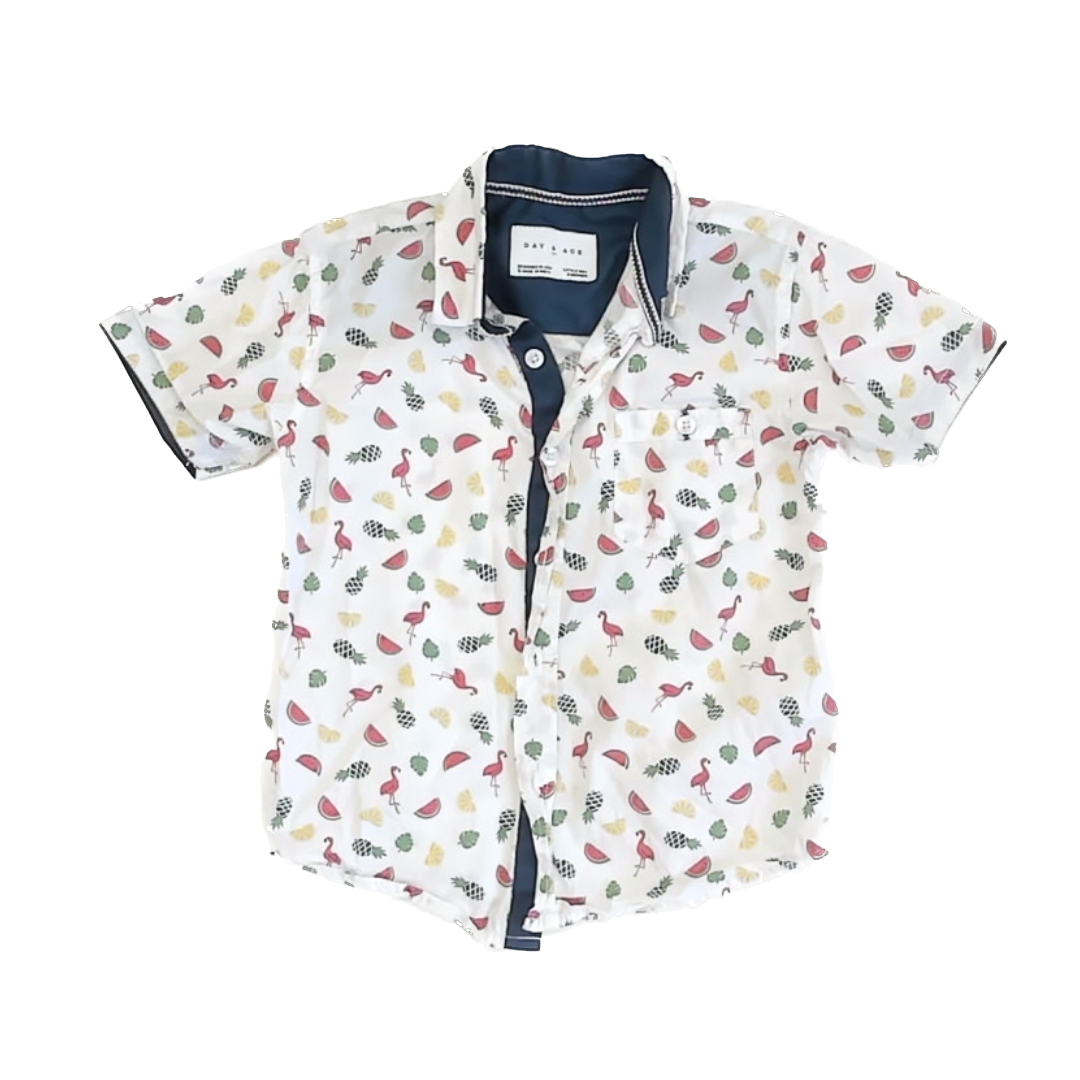 Day & Age Boys flamingo Button Down Short Sleeve Size: 5T flamingo