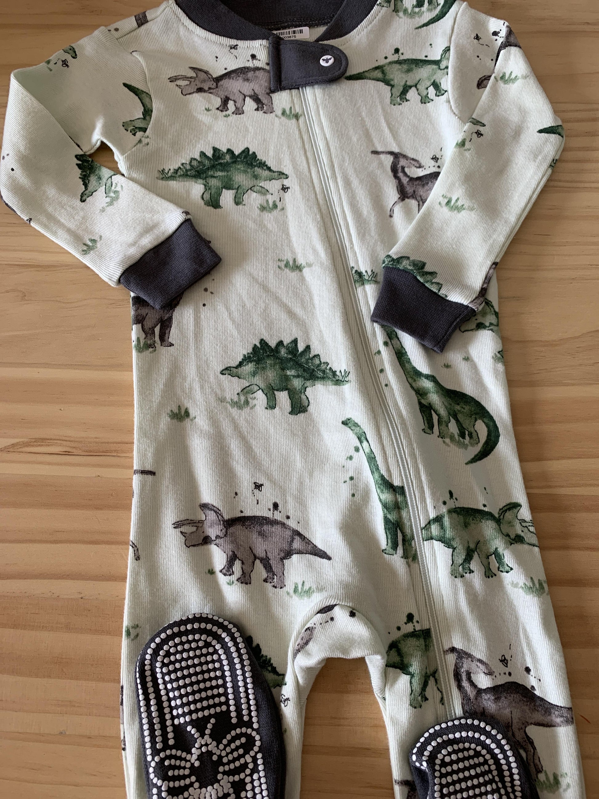Burt's Bees Boys Forest Green | Mint | Dinosaur Pajamas Size: 6-9 months Forest Green | Mint | Dinosaur