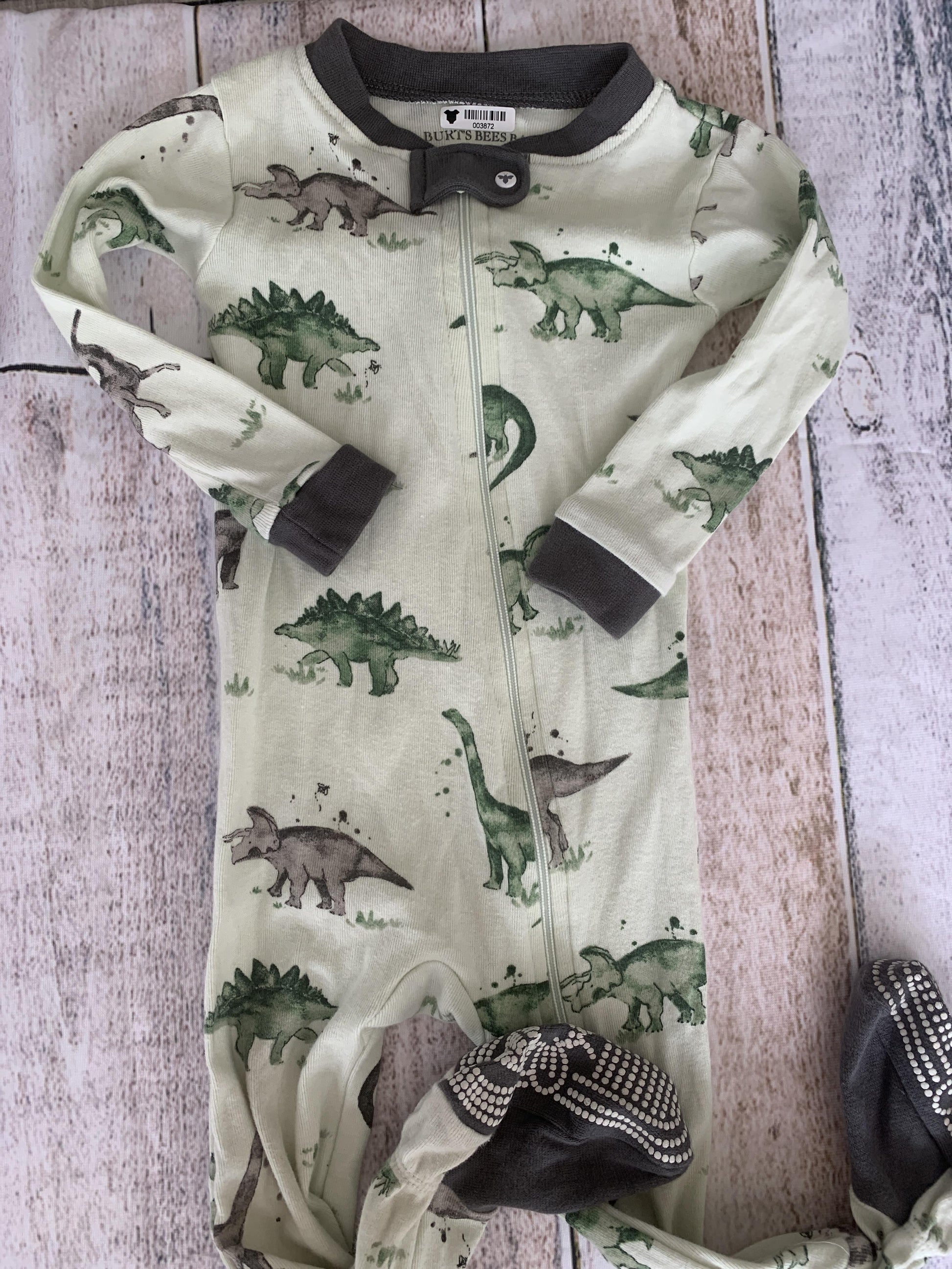 Burt's Bees Boys Forest Green | Mint | Dinosaur Pajamas Size: 12M Forest Green | Mint | Dinosaur