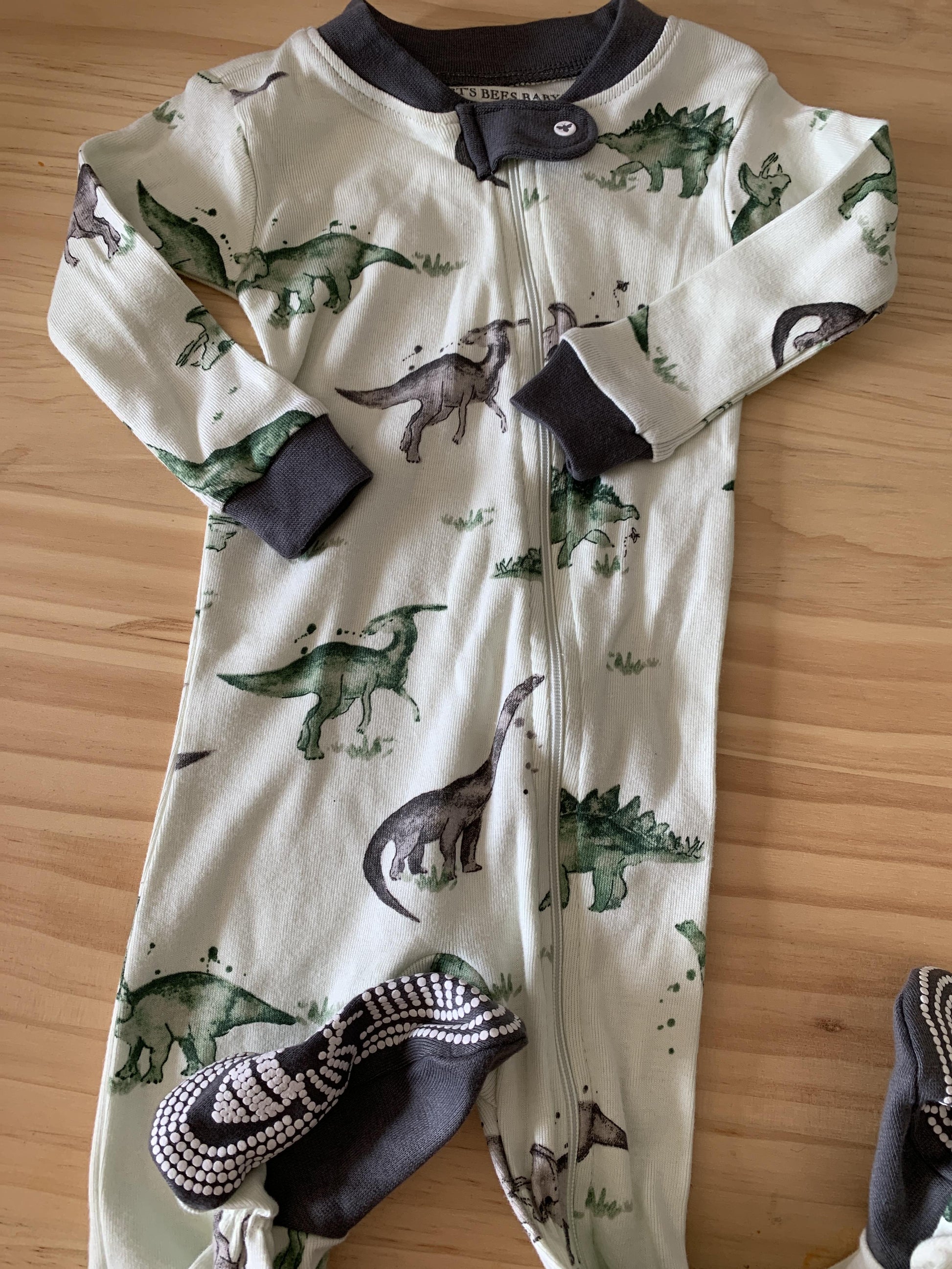 Burt's Bees Boys Forest Green | Mint | Dinosaur Pajamas Size: 6-9 months Forest Green | Mint | Dinosaur