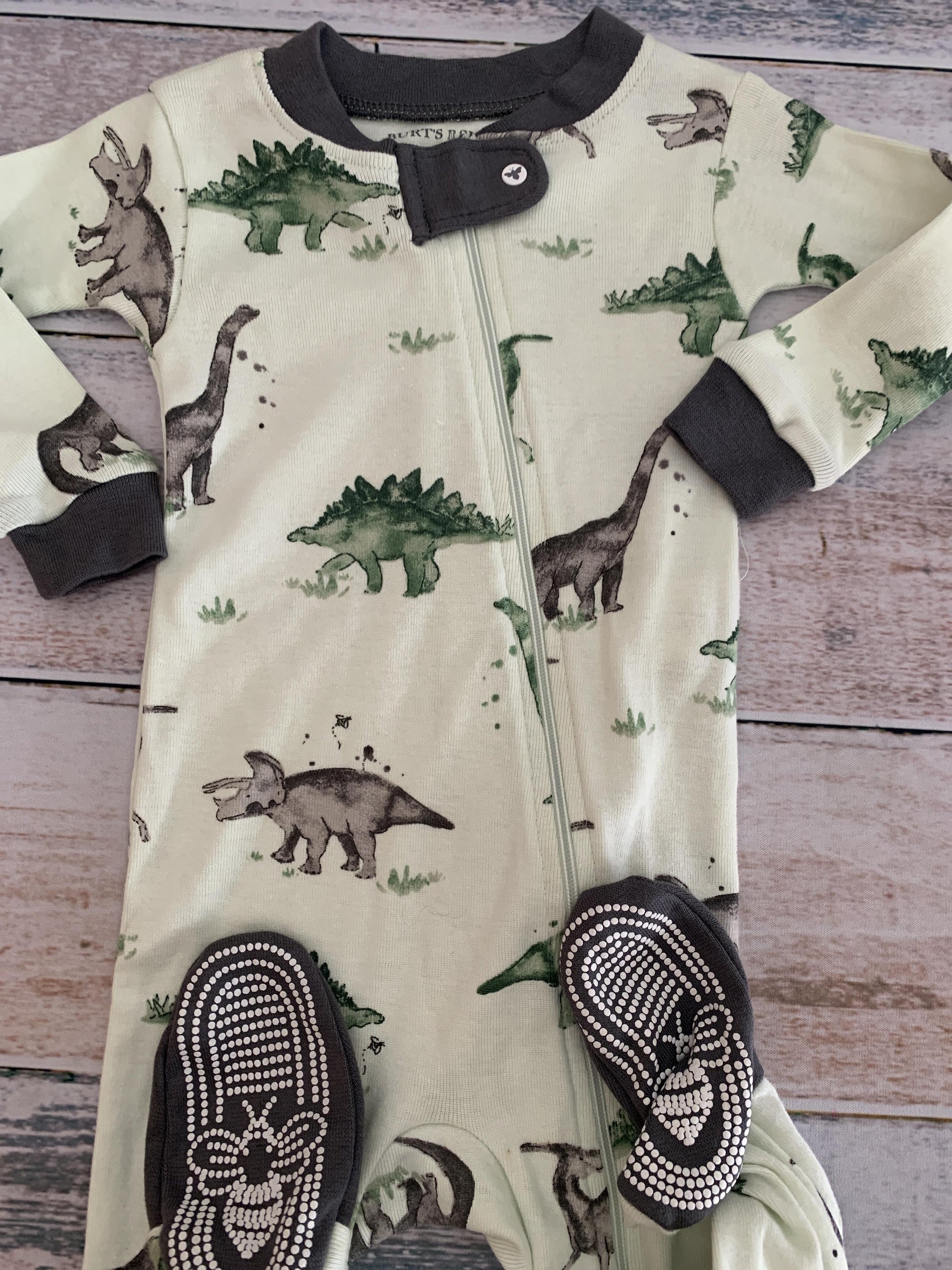 Burt's Bees Boys Forest Green | Mint | Dinosaur Pajamas Size: 3-6 months Forest Green | Mint | Dinosaur