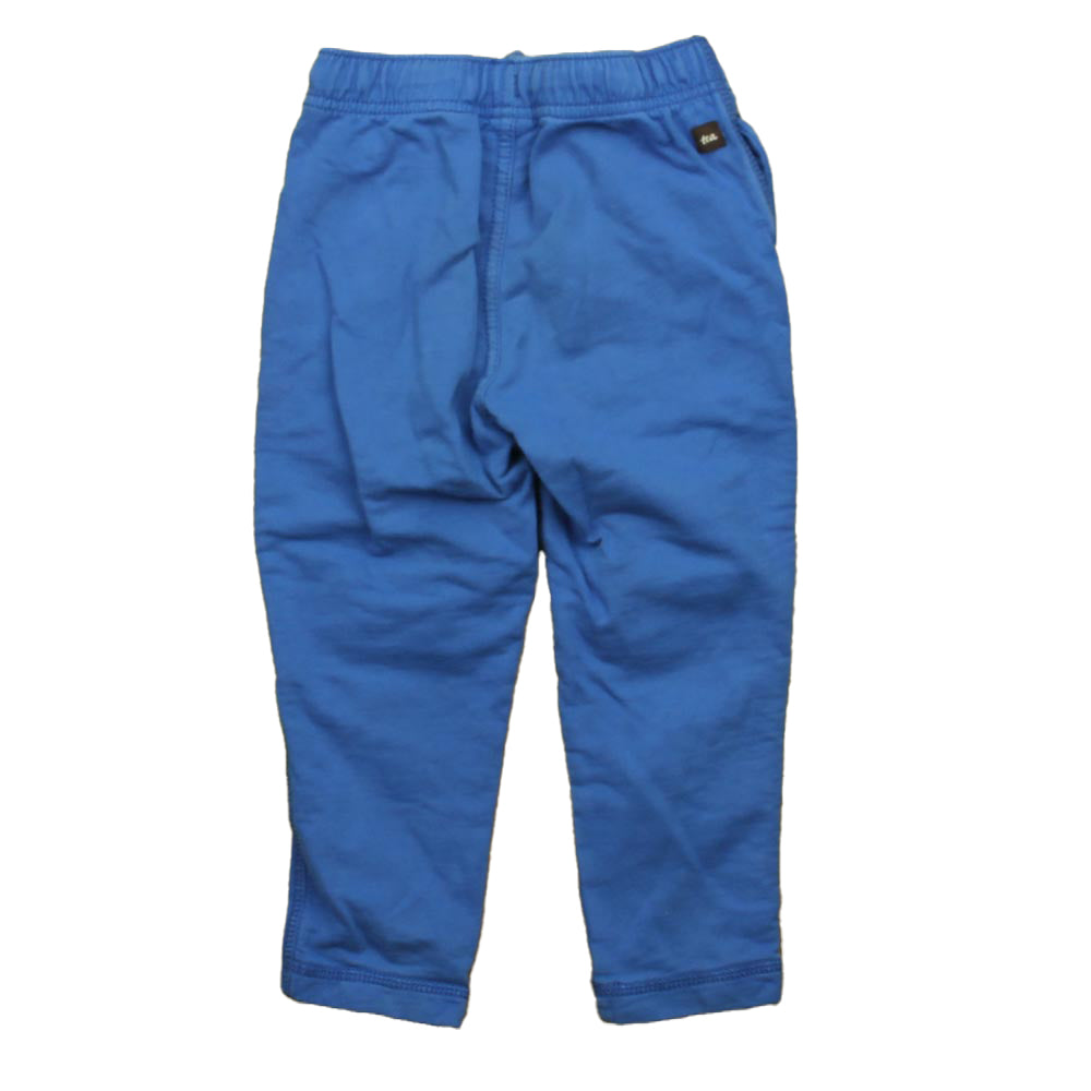Tea Collection Boys Gray | Blue Casual Pants Size: 2T Gray | Blue