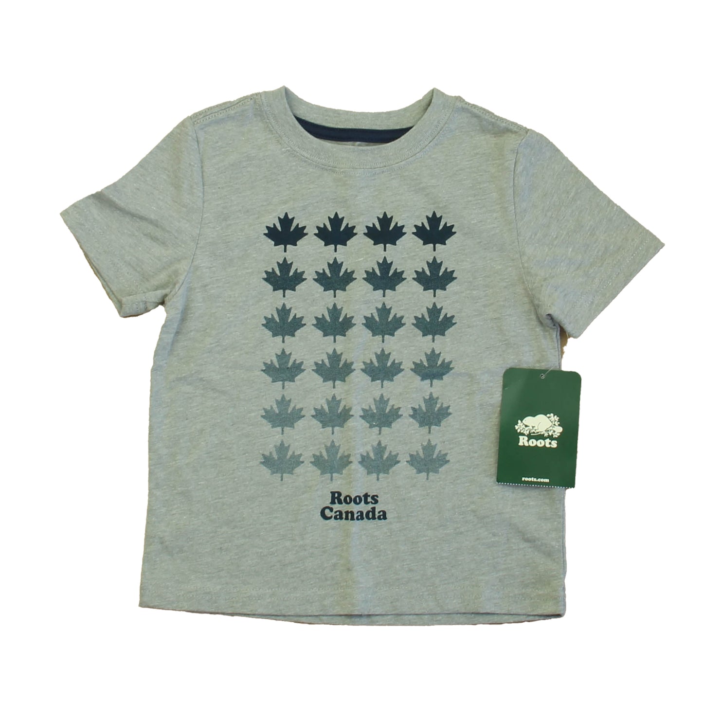 Baby Roots Boys Gray Canada T-Shirt Size: 3T Gray Canada