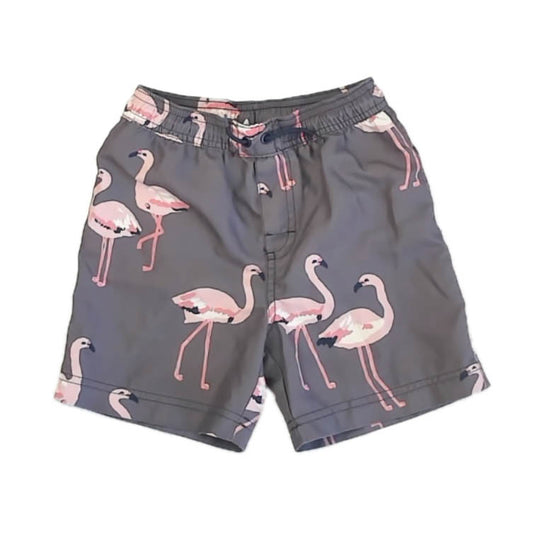 Tea Collection Boys Gray Flamingos Trunks Size: 6 Years Gray Flamingos