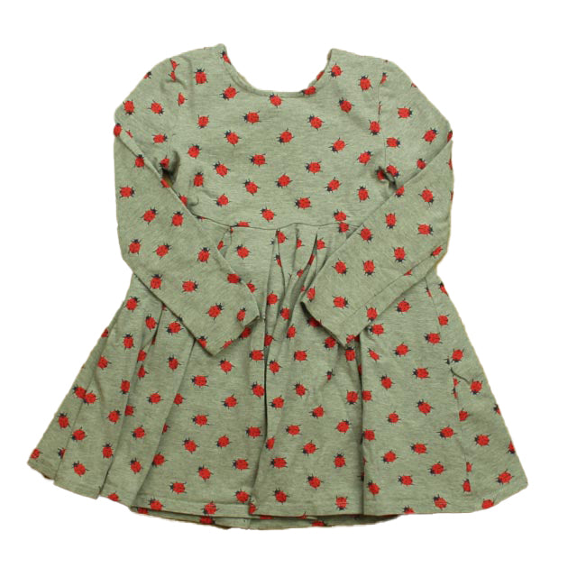 Joe Fresh Girls Gray Ladybugs Dress Size: 4T