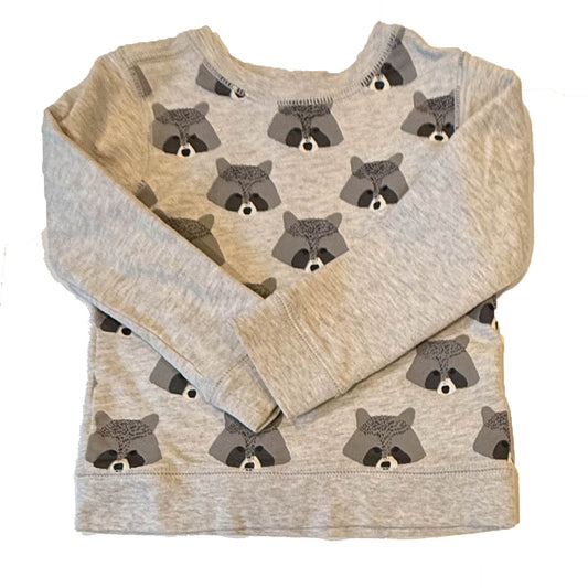 Tea Collection Boys Gray Racoons Sweatshirt Size: 18-24 Months Gray Racoons