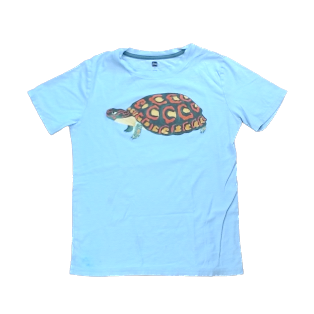 Tea Collection Boys Gray | Turtle Shirt Size: 14 Years Gray | Turtle